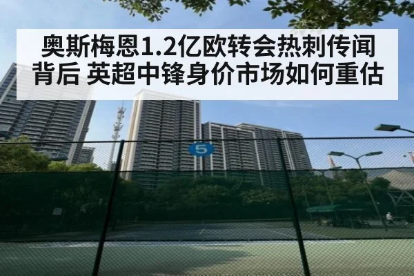 奥斯梅恩1.2亿欧转会热刺传闻背后 英超中锋身价市场如何重估